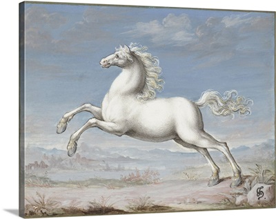 White Horse, by Joris Hoefnagel, 1560-99