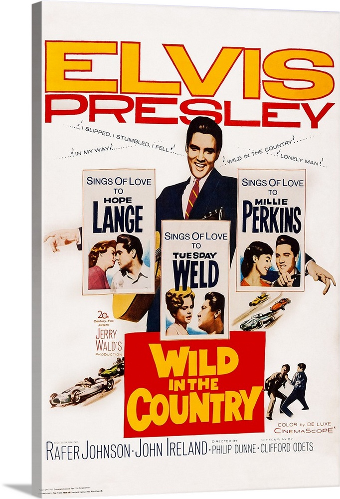 Retro poster artwork for the film Wild in the Country.