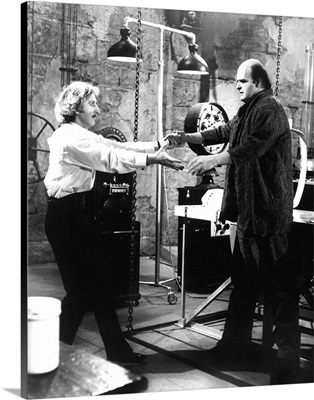 Young Frankenstein, 1974