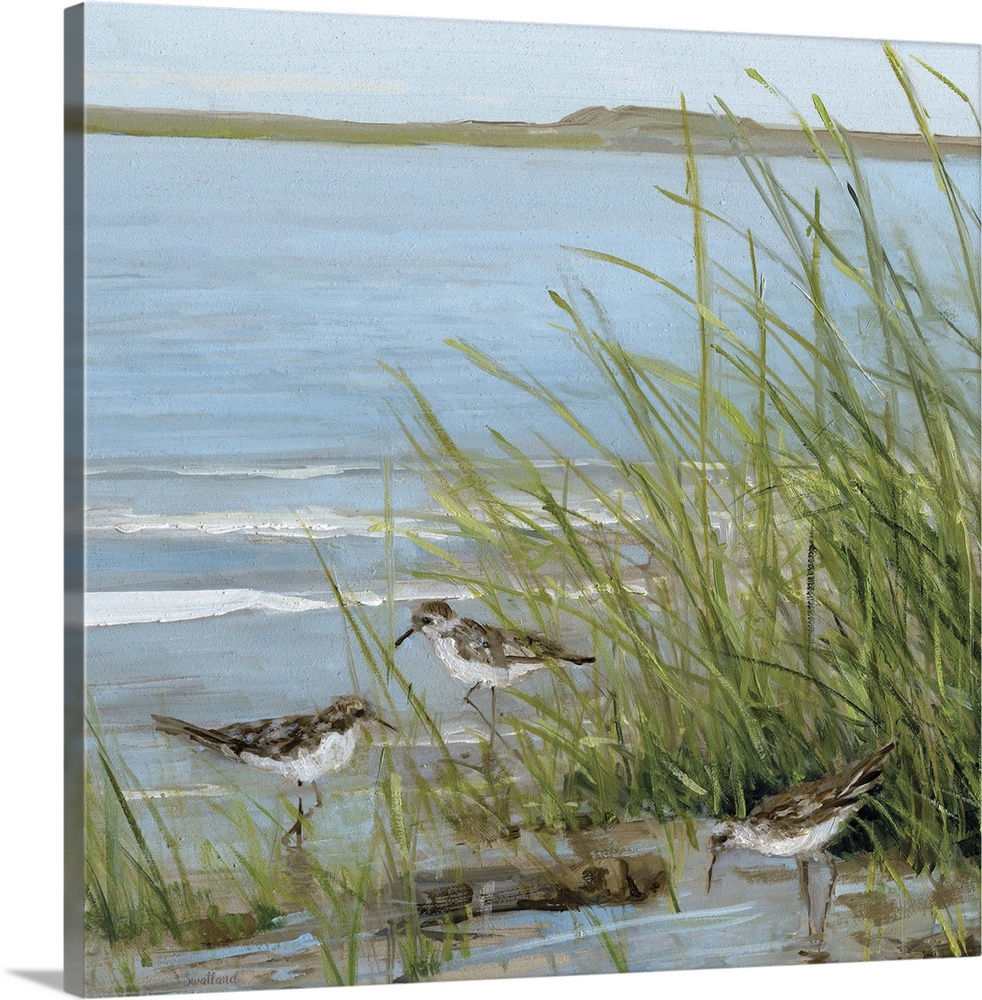Contemporary painting of seabirds grazing in a grassy sound with small waves breaking in the background.