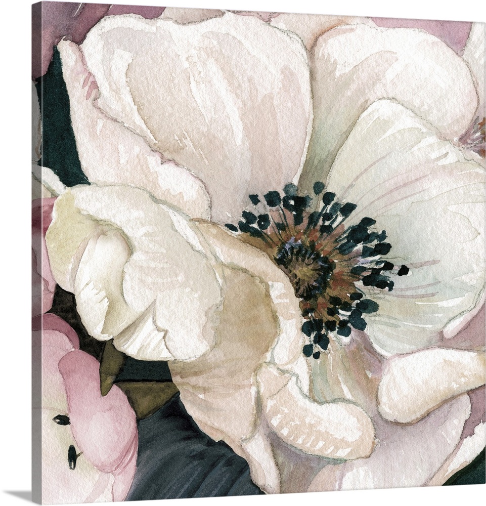 Close-up painting of a white anemone with pink petals surrounding it, on a square background.