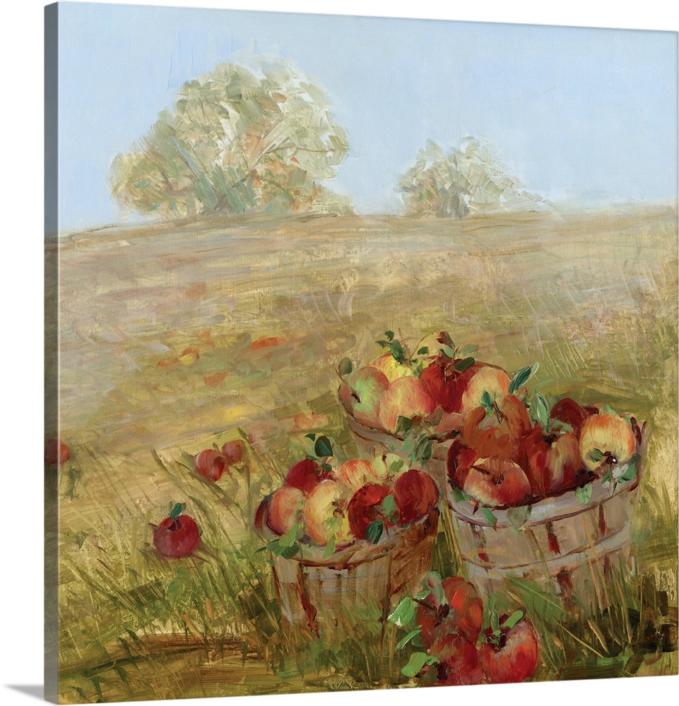 Square painting of baskets of apples that have been freshly picked with an Autumn landscape in the background.