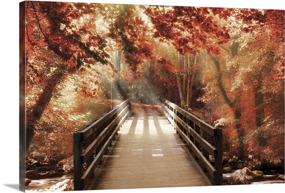 Photograph of a bridge going over a creek in woods covered in red Fall trees with beautiful sunlight.