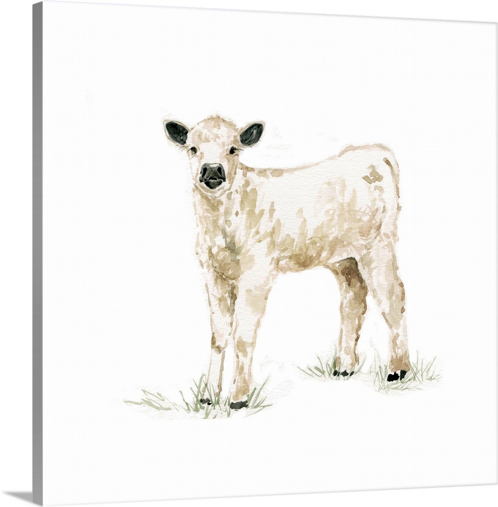 Cute illustration of a small white calf.