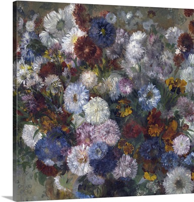 Beautiful Flowers