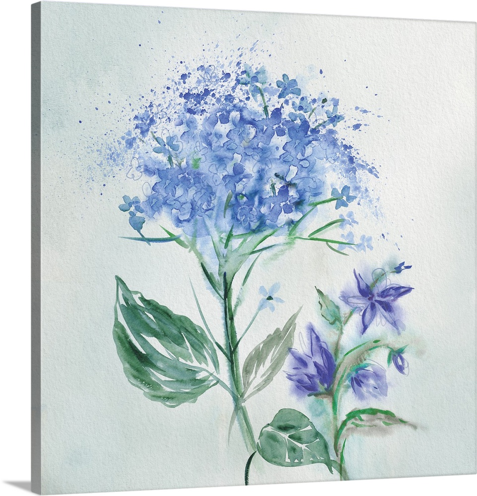A watercolor painting of blue flowers with speckled accents.