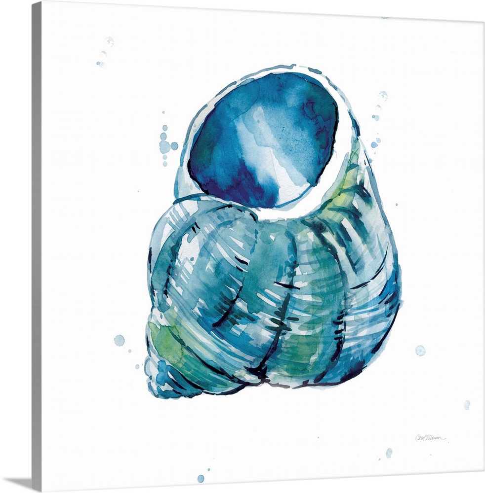 Square watercolor painting of a seashell made in shades of blue with hints of green on a white background with a little bi...