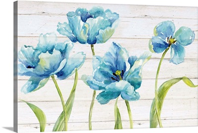 Blue Tulips on Shiplap