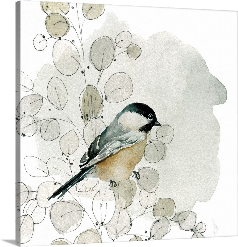 A beautiful little watercolor painting of a small garden bird perched in a branch of silver dollar plant, in shades of gre...