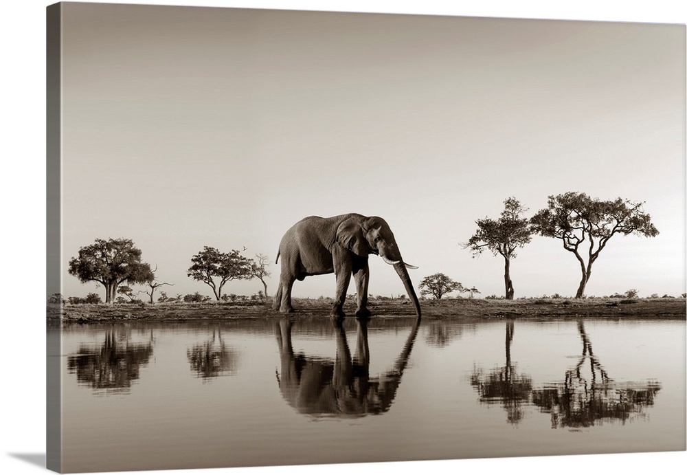 Botswana Park