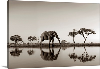 Botswana Park