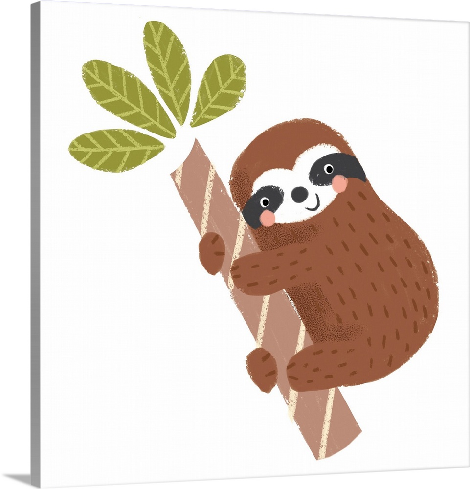 Brown Sloth