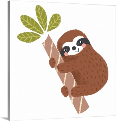 Brown Sloth