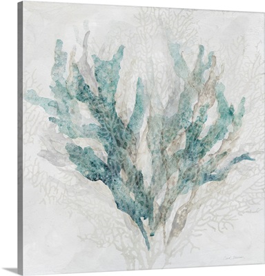 Calm Coral I
