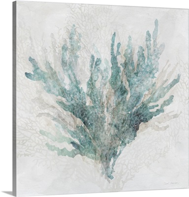 Calm Coral II