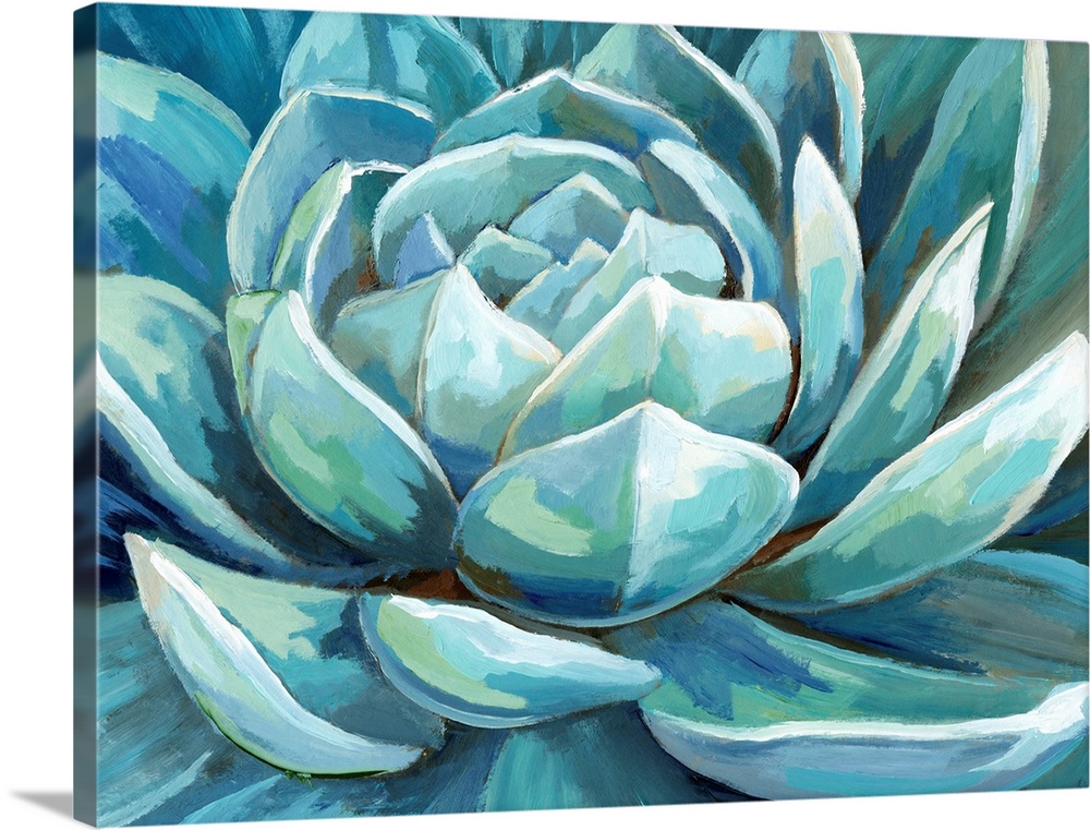 A large horizontal close up image of succulents in shades of blue and green.