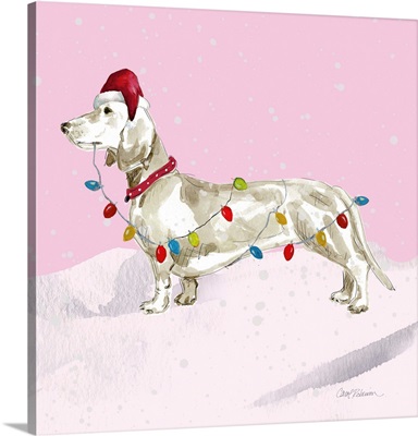 Christmas Dachshund