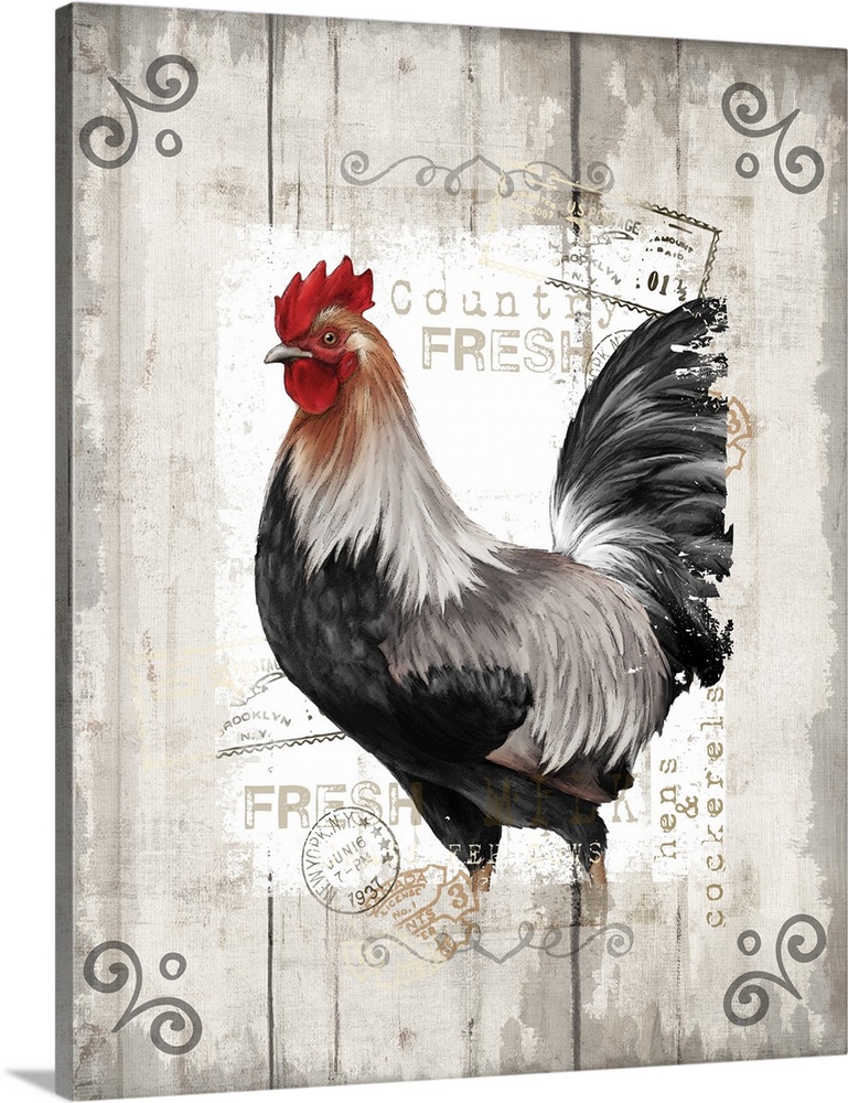 Vertical decorative design of a rooster with a vintage style border with embellishments.