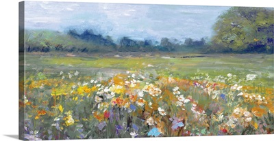 Countryside Meadow