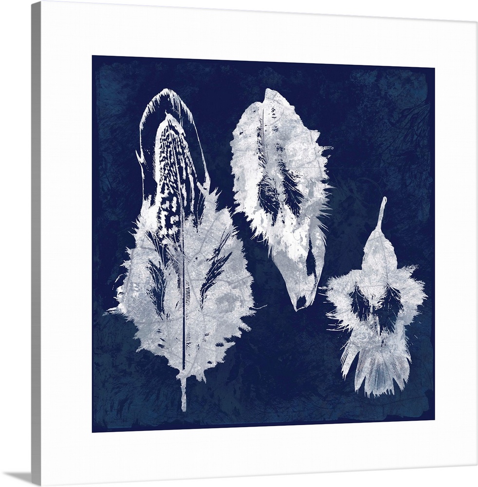 Square cyanotype of white silhouetted feathers on an indigo background with a white boarder.