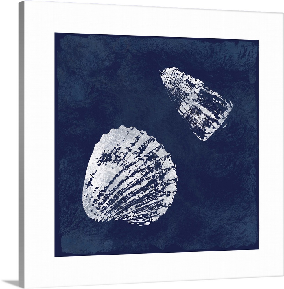 Square cyanotype of white silhouetted seashells on an indigo background with a white boarder.