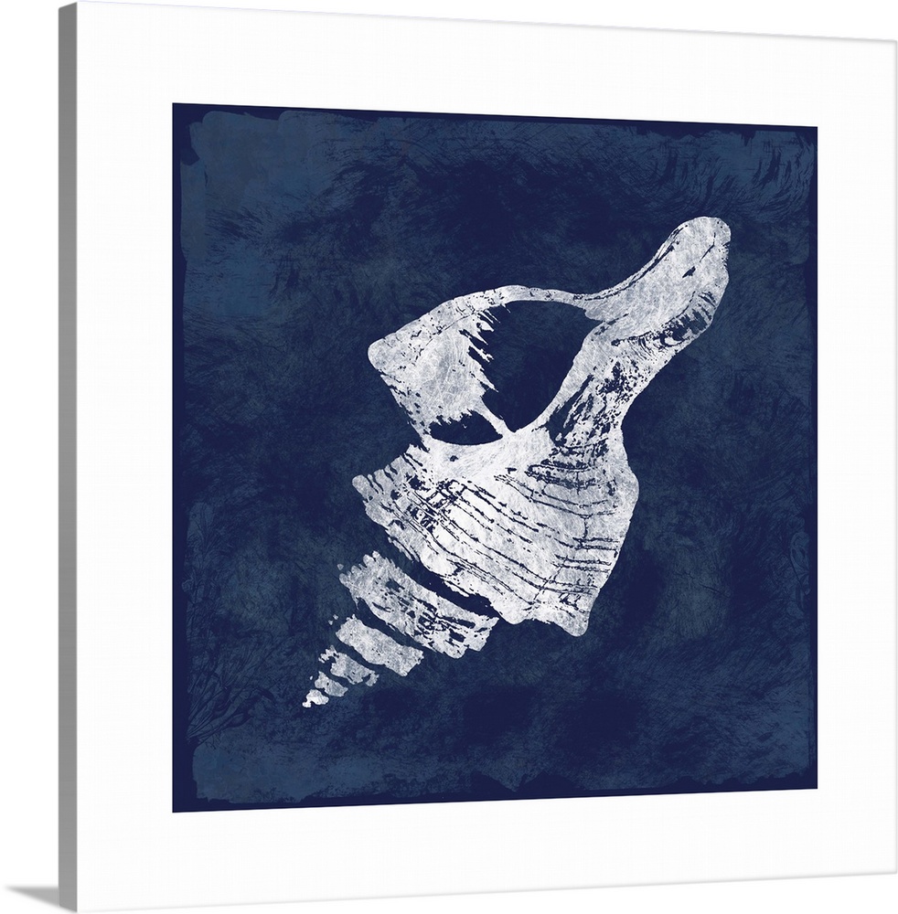 Square cyanotype of a white silhouetted seashell on an indigo background with a white boarder.