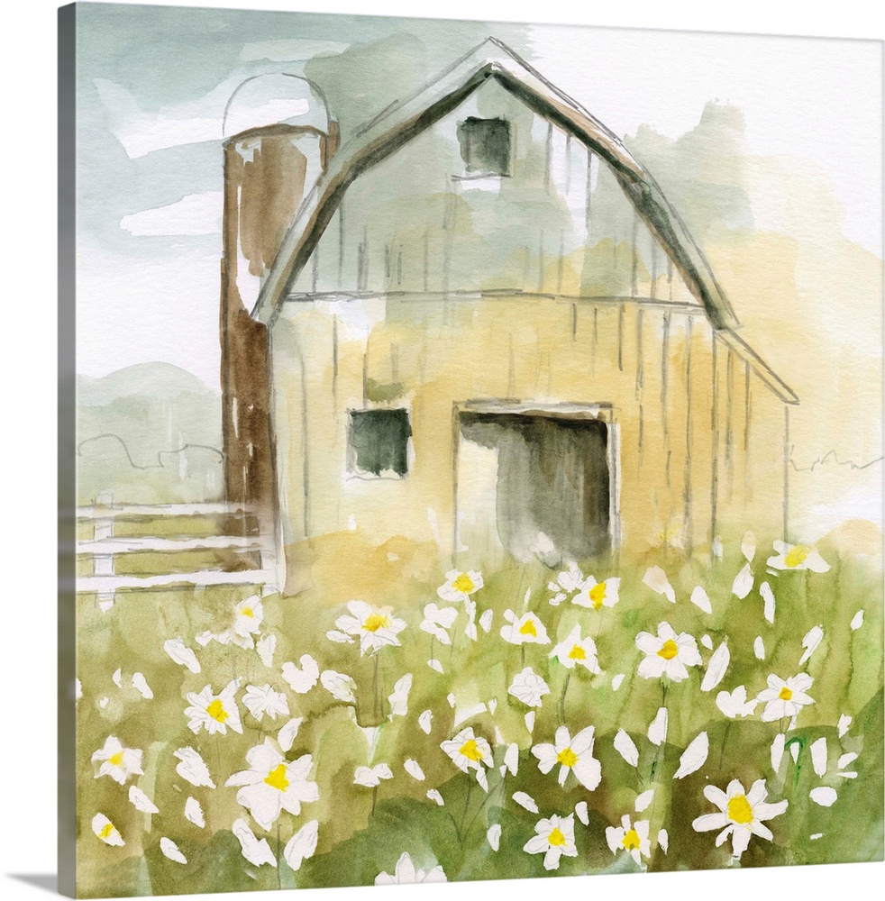 A watercolor painting of charming barn surrounded by white daises.