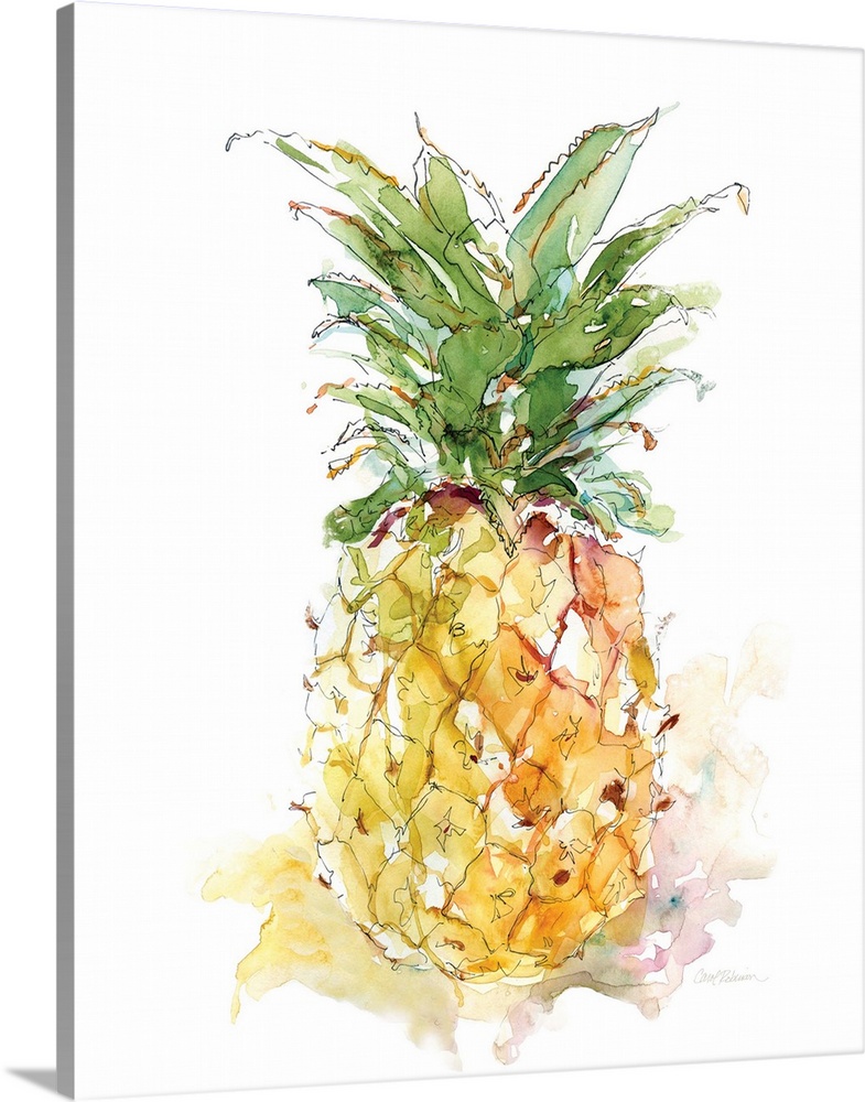 Watercolor painting of a pineapple on a white background.