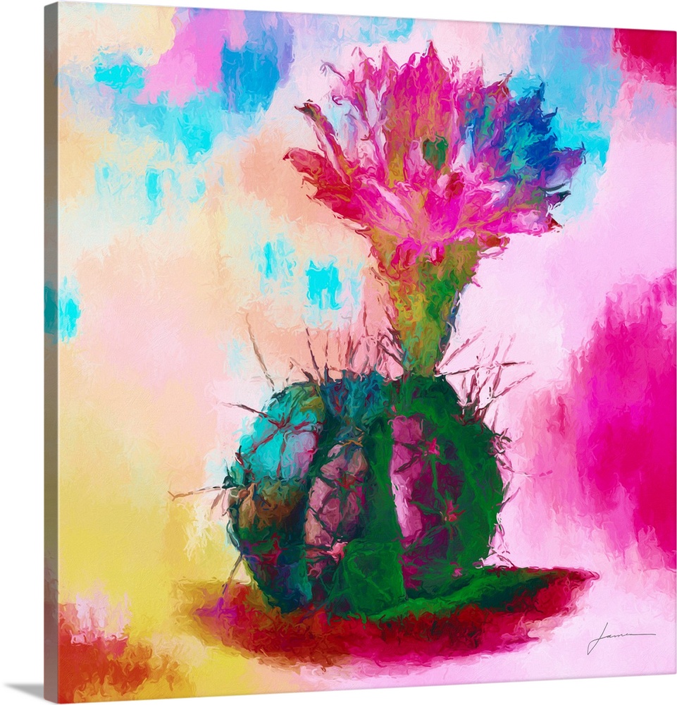 A bright colored image of a rounded cactus with a large bloom on a multi-colored backdrop.