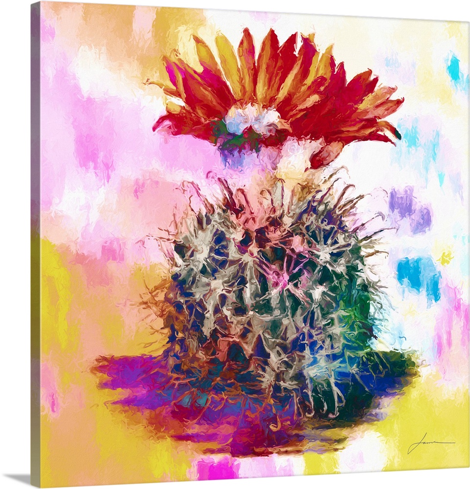 A bright colored image of a rounded cactus with a large bloom on a multi-colored backdrop.