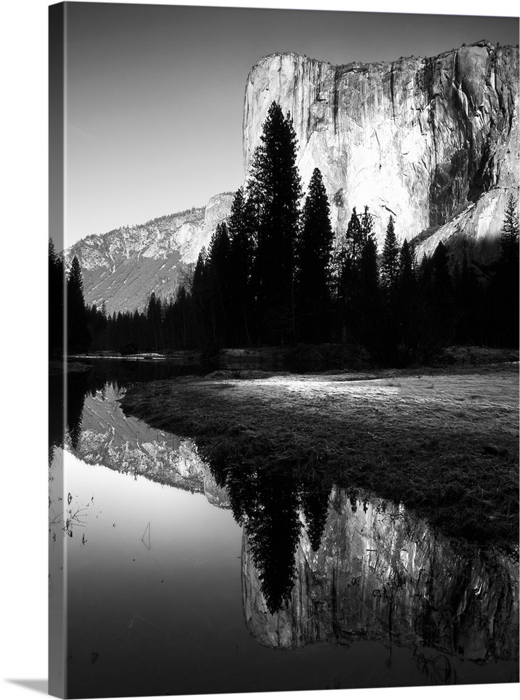 Black and white photo of a cliffside behind dark trees in Yosemite.