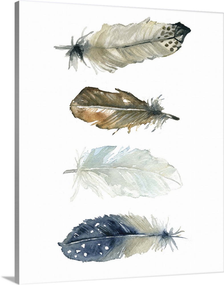 Four watercolor feathers of different designs and colors.