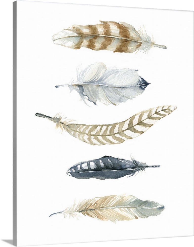 Five watercolor feathers of different designs and colors.