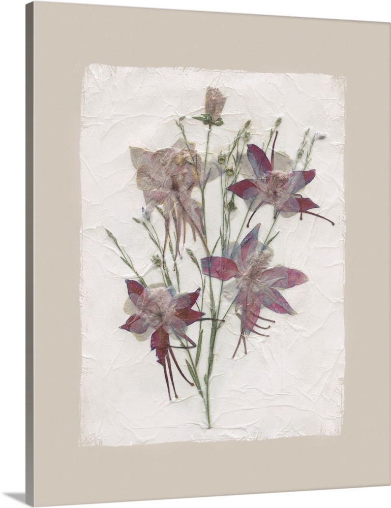 Floral Decoupage II