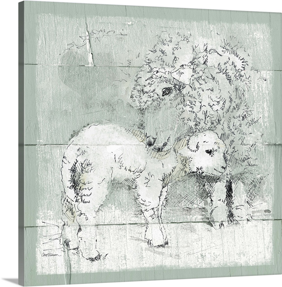 Drawing of a sheep and her lamb on a green wooden background.