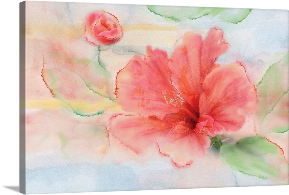 Watercolor Painting Red Hibiscus Flower Wall Art, Canvas Prints, Framed  Prints, Wall Peels