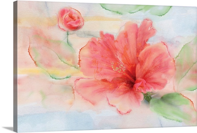 Hibiscus | Great Big Canvas