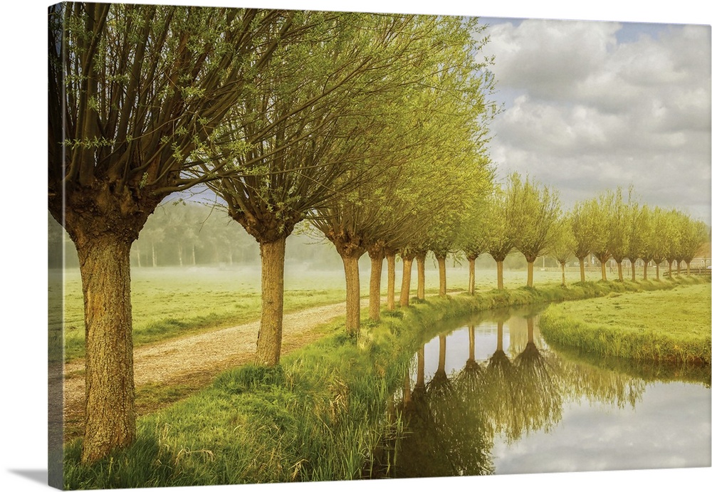 Photograph of a row of trees along a canal in the countryside.