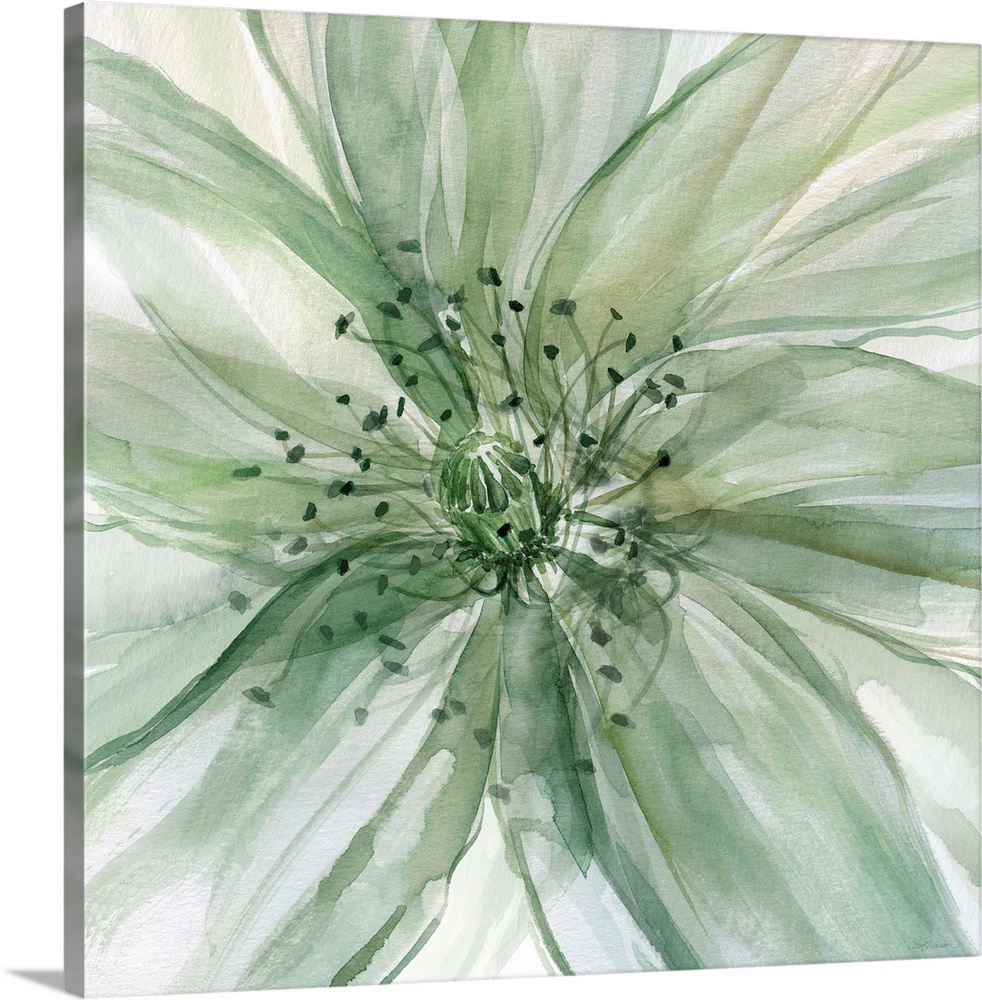 Square watercolor painting of a large flower in shades of green taking up the whole frame.