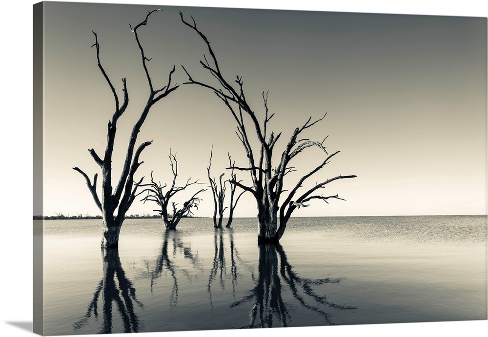 Photograph of the Murray River in Australia with trees reflecting on the water and a vintage color to it.
