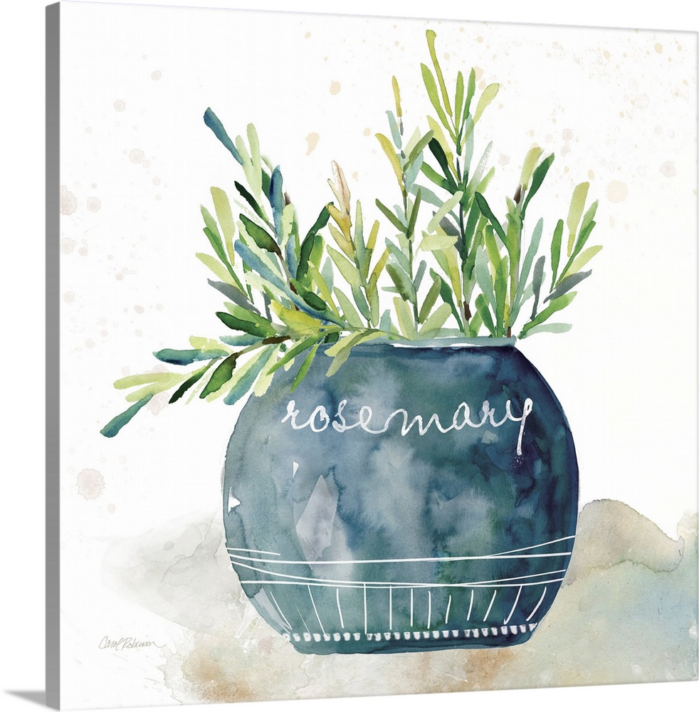 Square watercolor painting of a potted rosemary plant.