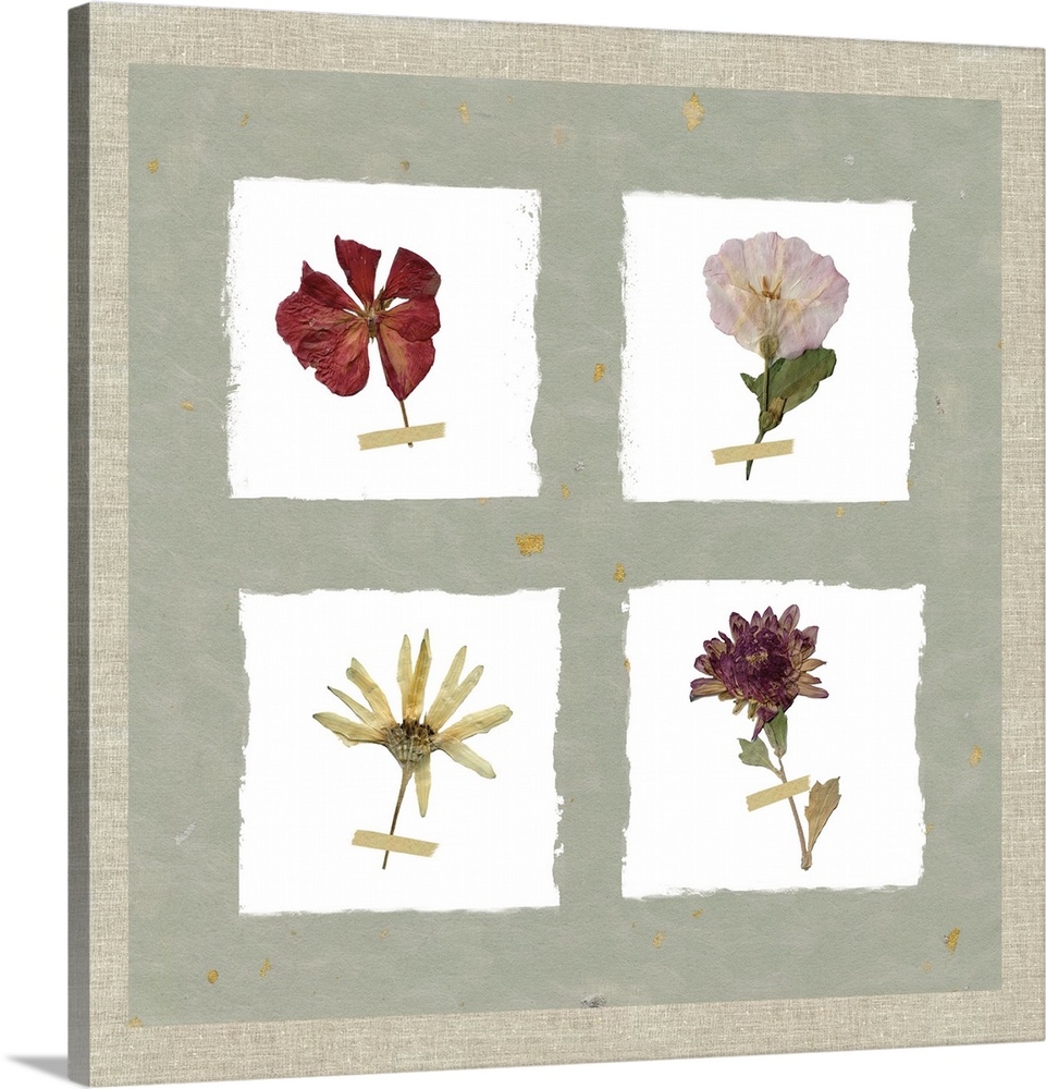 Square decor with four dried flowers pressed onto four painted white squares on a rustic green background with a burlap bo...