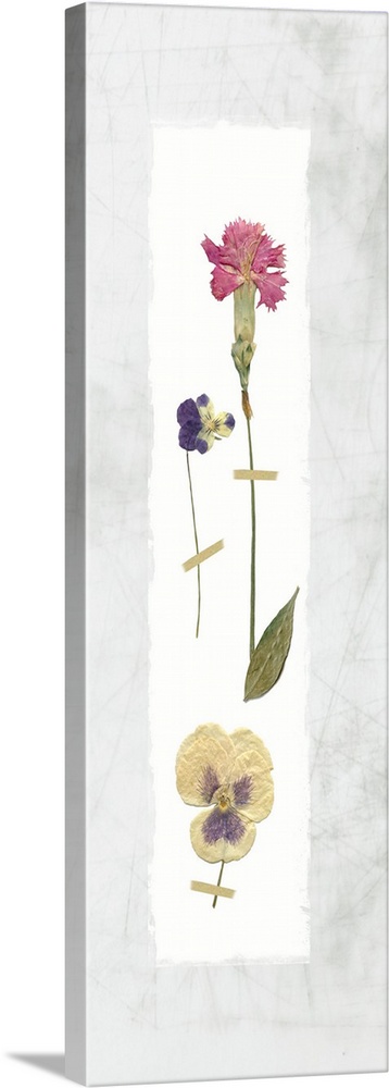 Panel decor with dried flowers pressed onto a painted white rectangle on a marble-like background.