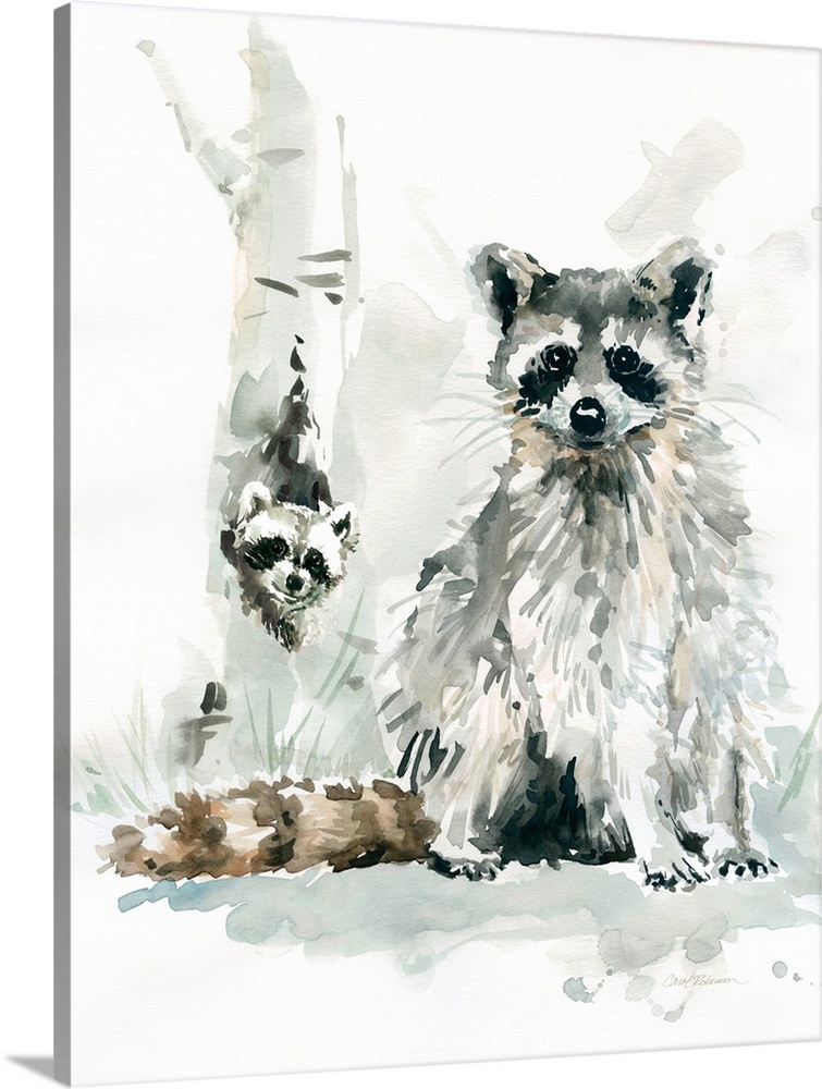 Contemporary watercolor painting of a mother and baby raccoon.