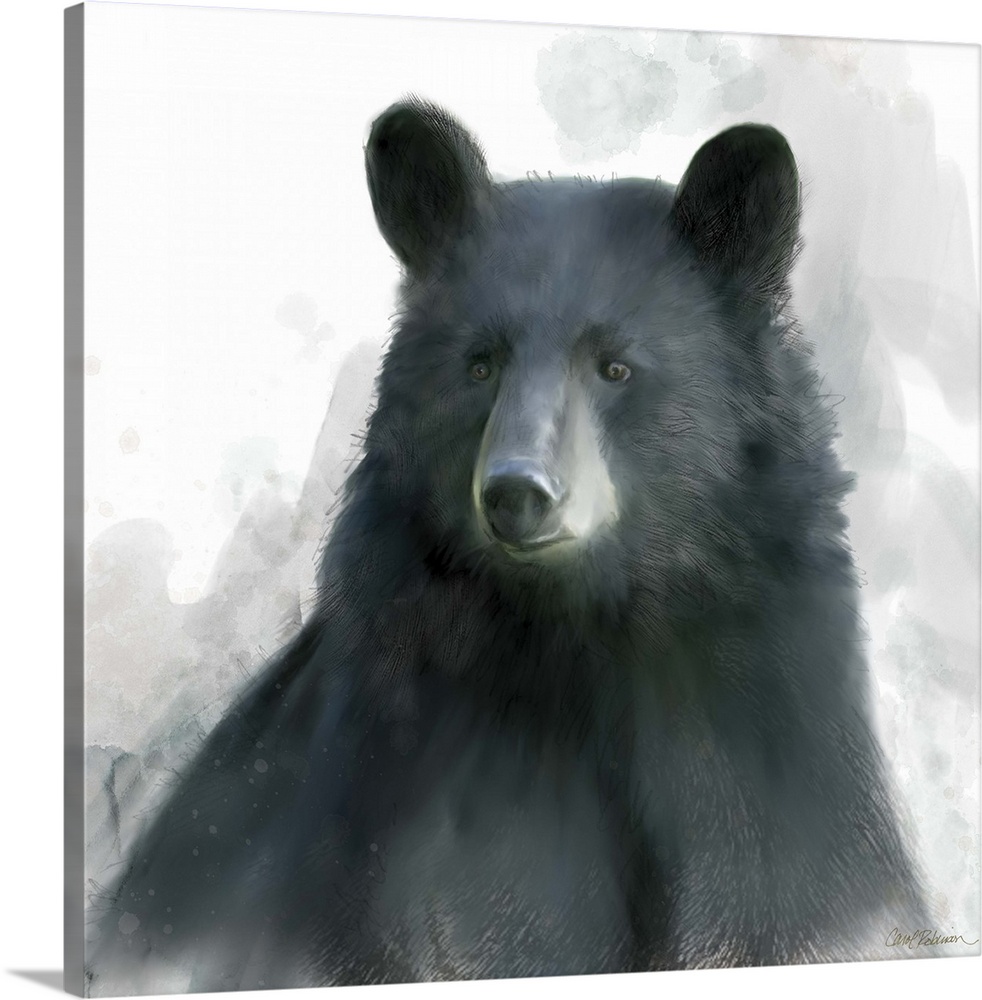 Watercolor portrait of a black bear on white.