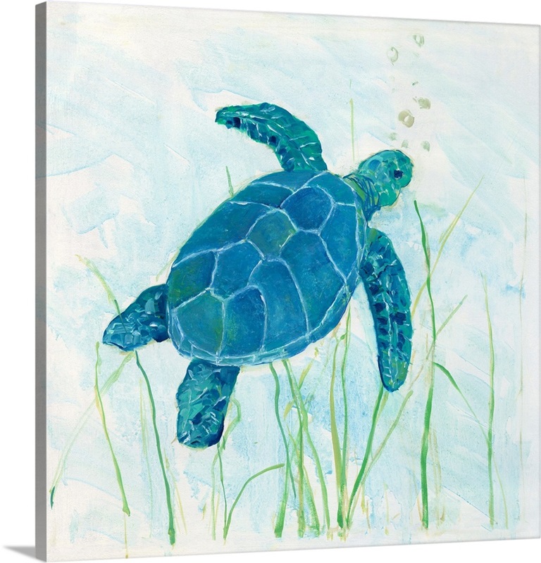 Reef Turtle I | Great Big Canvas