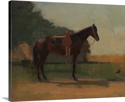 Saddle Horse