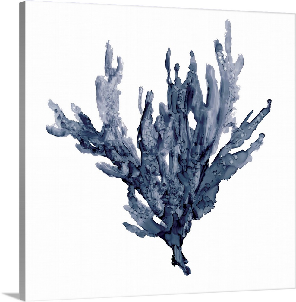 Square watercolor painting of blue coral on a solid white background.