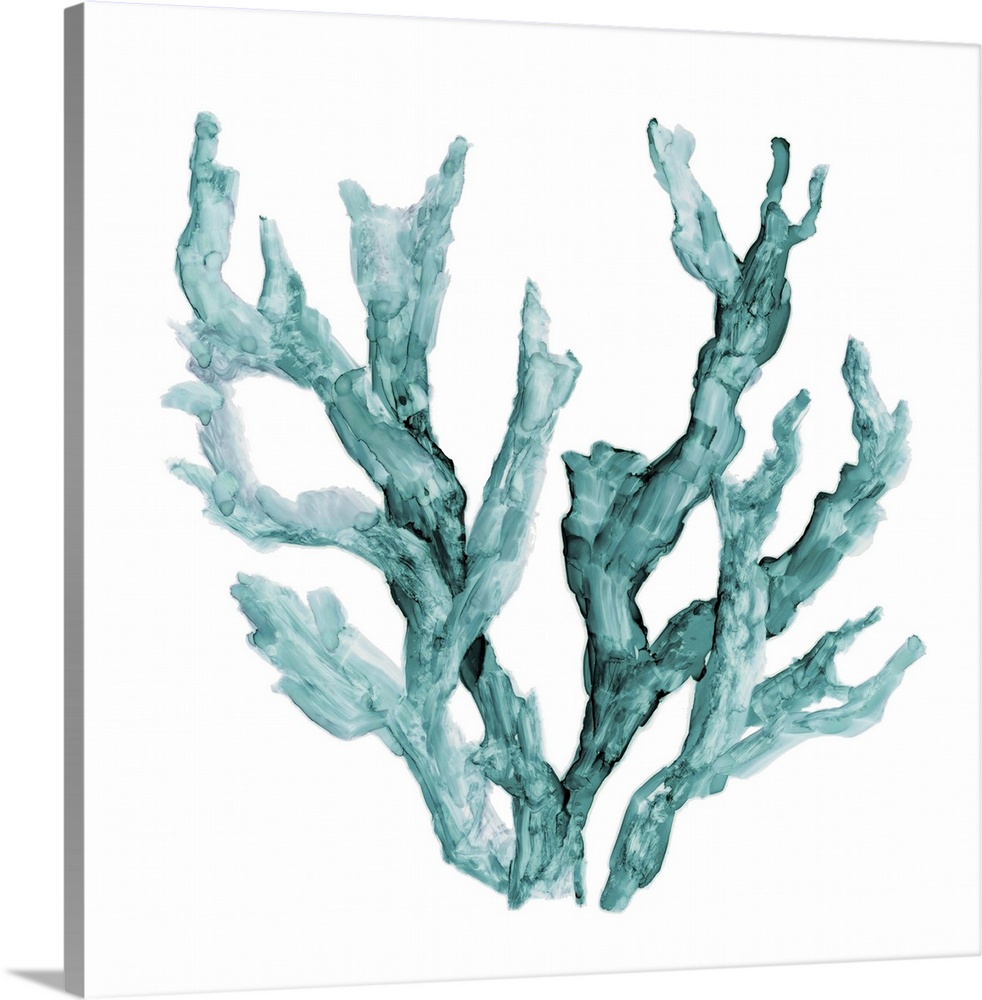 Square watercolor painting of teal coral on a solid white background.