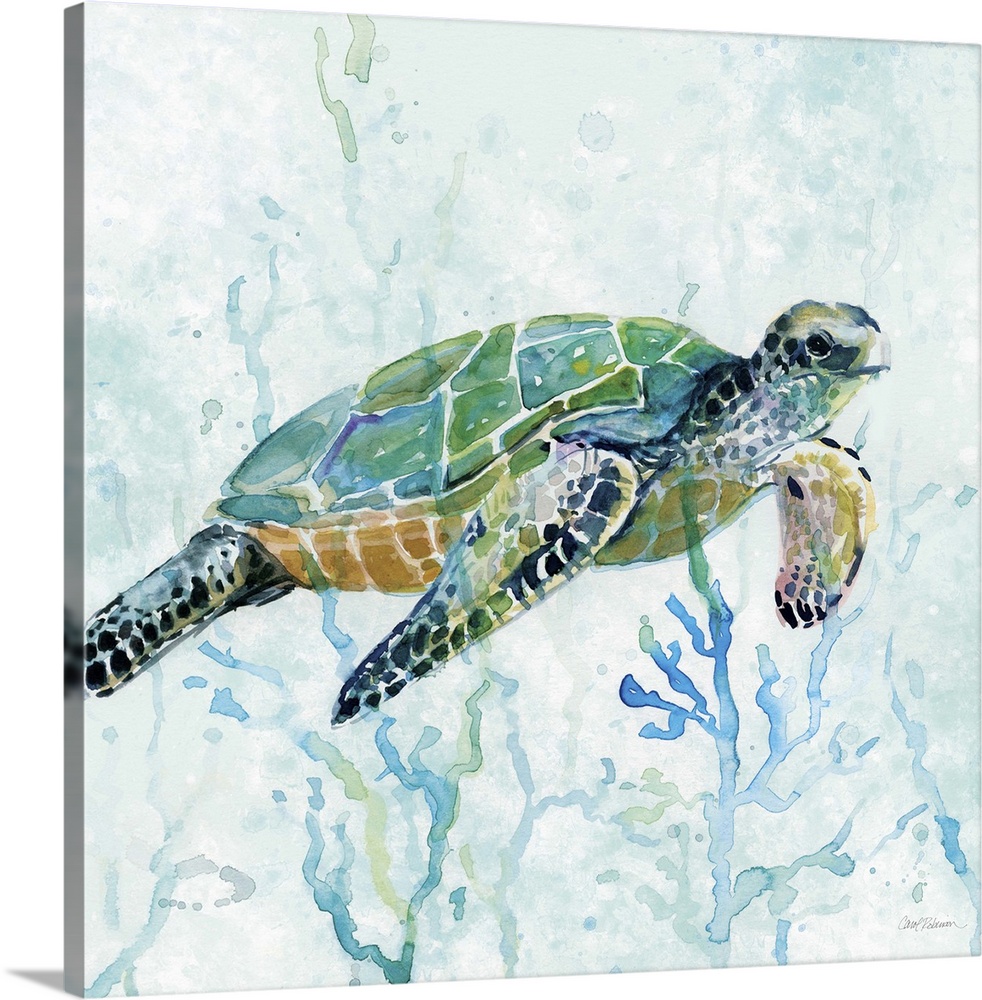 Details about   Turtle Swimming Bathroom Cute Canvas Wall Art Framed Room Print Picture S404 